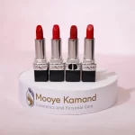 پلت رژ لب جامد دیور Rouge