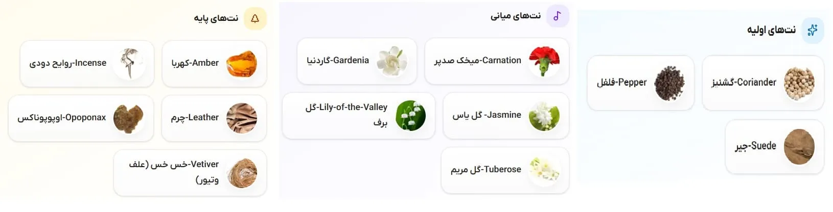 عطر آمواج هانر زنانه | Honour for Women-موی کمند